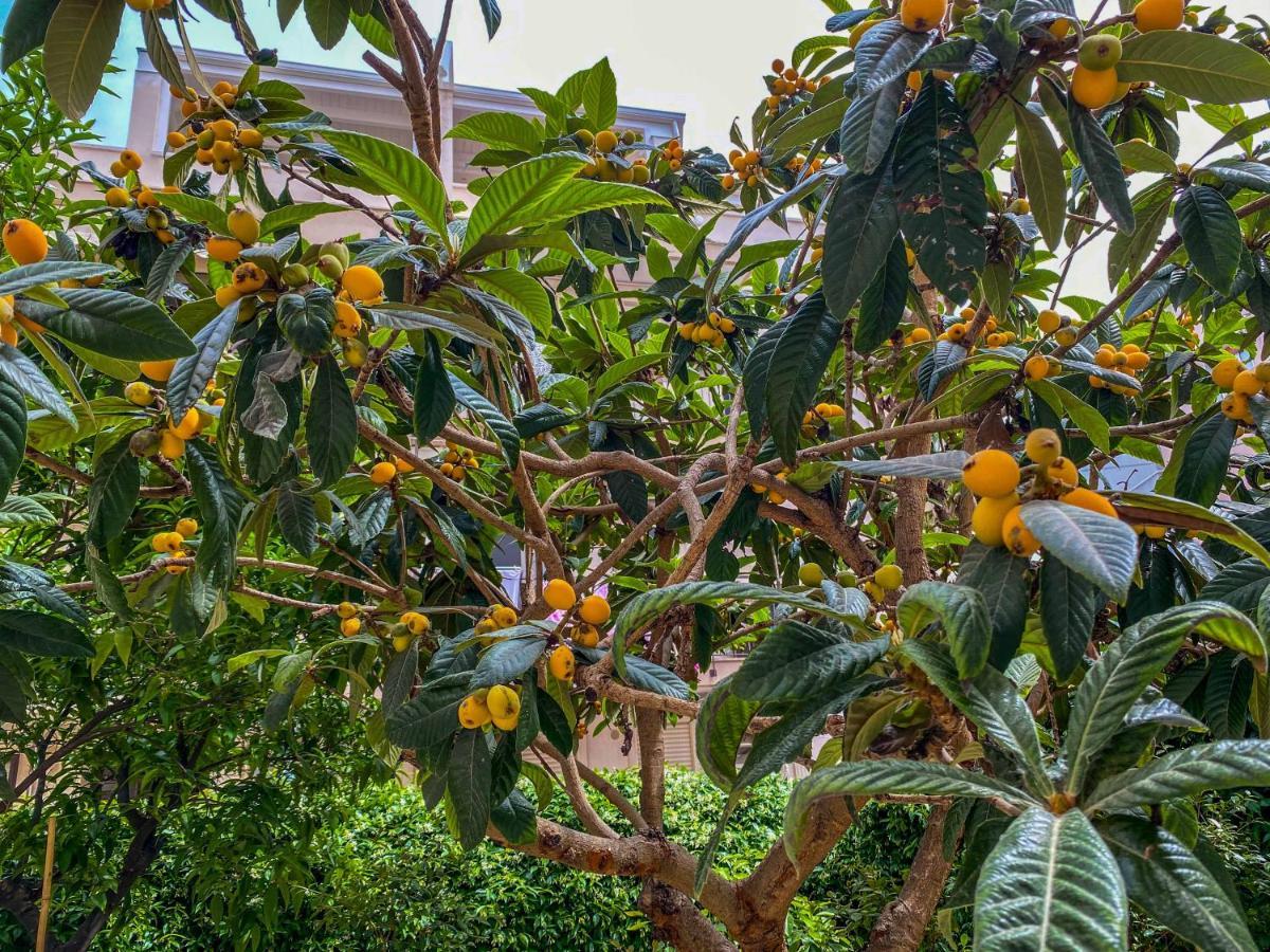 Al Giardino Del Nespolo Appartement Polignano a Mare Buitenkant foto
